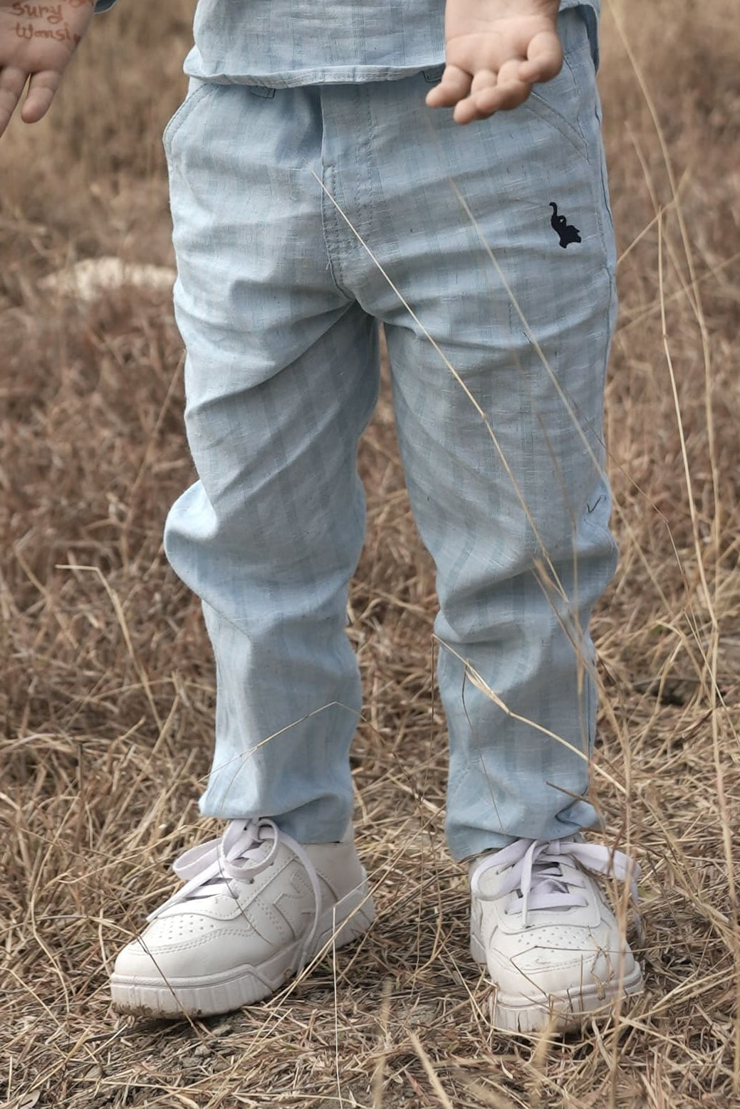 Sky stripped linen pants